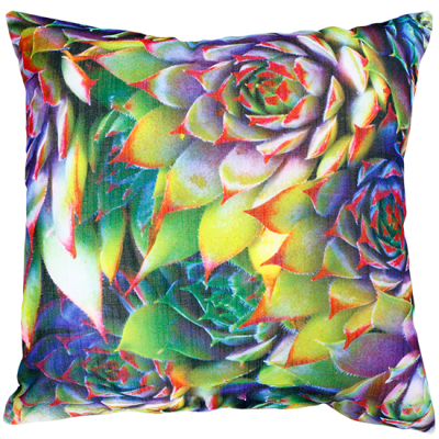 Rosette Succulent Multi Cushion 45X45Cm Print