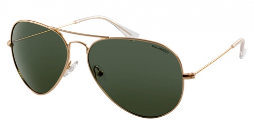North Beach Char Gold Green Pol Sunglasses