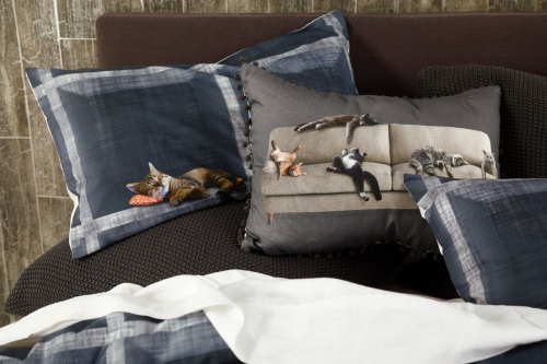 Cubby 250Tc Cotton Duvet Cover Set Double Size