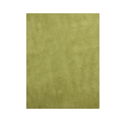 Chicago Lime Plush Polyester Rug 1.2X1.8M