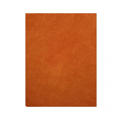 Chicago Burnt Orange Plush Polyester Rug 1.6X2.3M