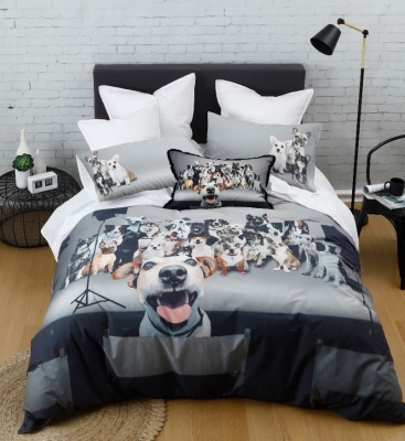 Photobomb 250Tc Cotton Percale Queen Duvet