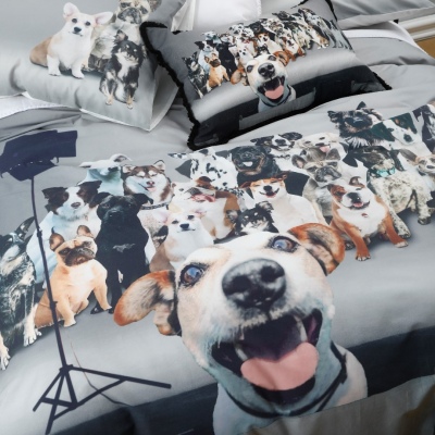 Photobomb 250Tc Cotton Percale Queen Duvet