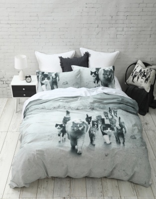 Catmob 250 Thread Ct Queen Duvet Cover Set