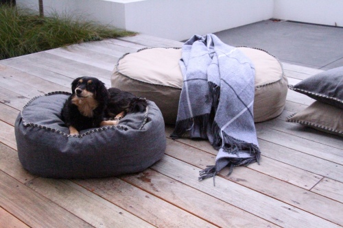 Kalo Outdoor Pet Beanbag Charcoal Large Unfilled