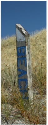 Beach 350X950 Nz Canvas Order In