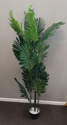 Hawaii Palm Artifical Plant 170X1500Mm H Potted