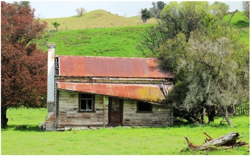 New Zealand House 960X595 Nz Canvas Order In