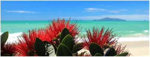 Pacific Pohutukawa 1200X400 Nz Canvas Order In