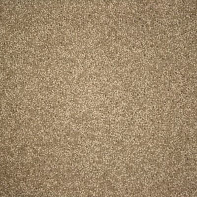 Appeal Enthrall 100% Wool Hard Twist Cut Pile Rehd