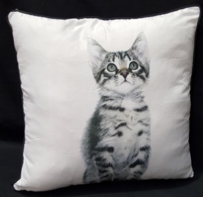 Tabby Kitten Double Sided Cushion 45X45Cm
