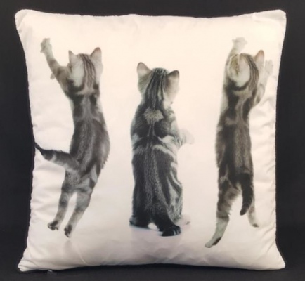 3 Kittens Double Sided Cushion 45X45Cm
