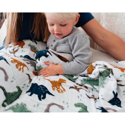 Cotton Muslin Big Kid Quilt Dino Friends